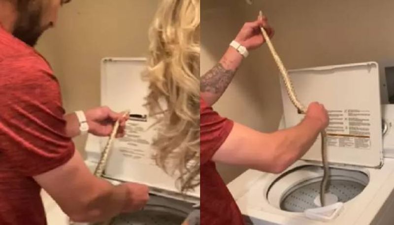 snake trapped in washing machine then this man did this 