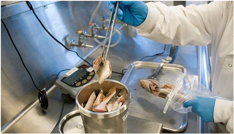 shocking irregularities detected in Vigilance inspection at food safety offices