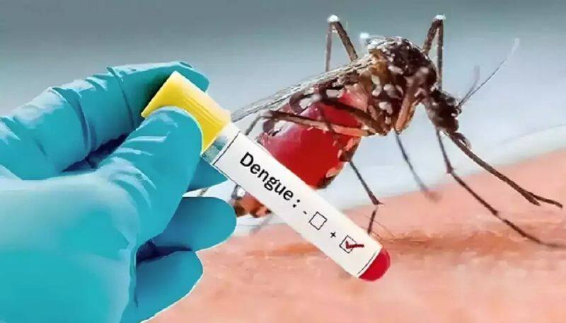 Dengue Increased in Tamil Nadu Guidelines released how to prevent from dengue ans