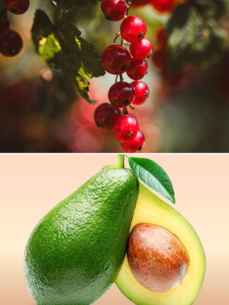 Berries to Avocado: 7 fruits that help to grow thick hair ATG EAI