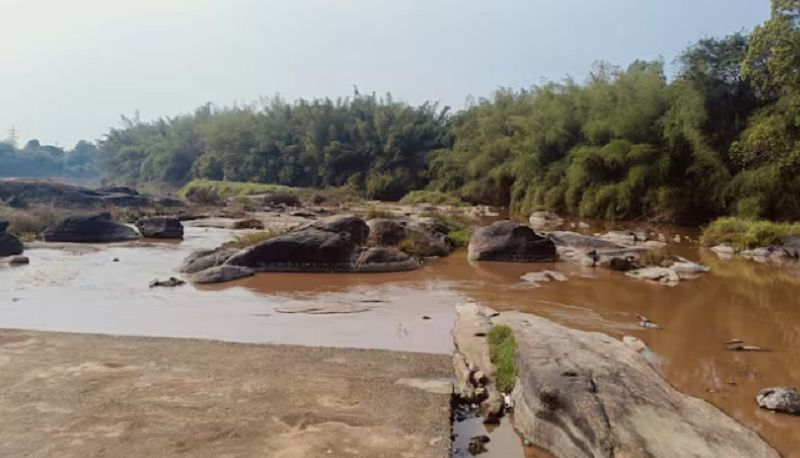 Rain in Kodagu Flow has started in the Cauveri river gvd