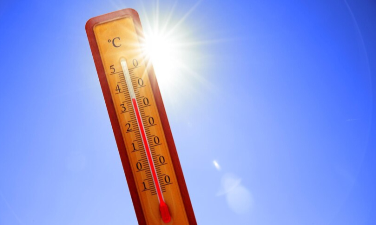 three weather stations in Delhi recorded maximum temperatures of 49 degrees Celsius or more