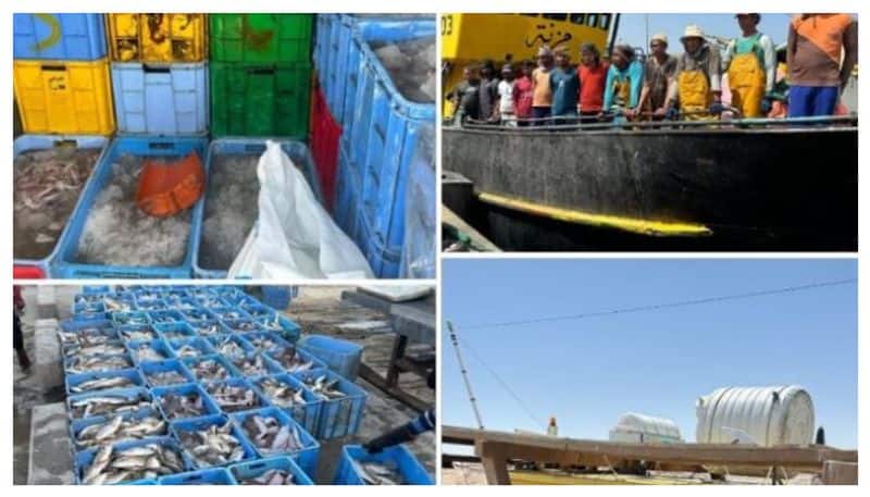 four expats arrested for illegal fishing in oman 