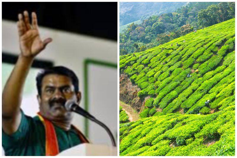 tamil nadu government should undertake manjolai tea estate in tirunelveli said seeman vel