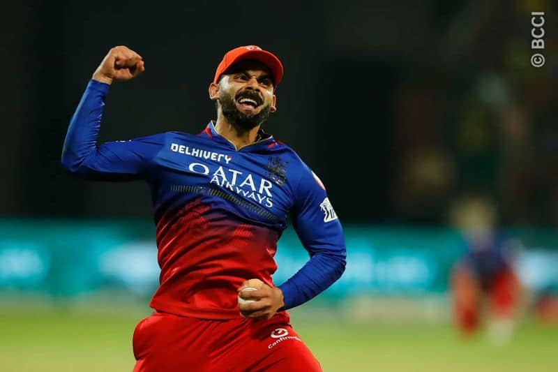 IPL 2024: Virat Kohli's '1% chance' theory goes viral after RCB secures playoffs berth (WATCH) vkp