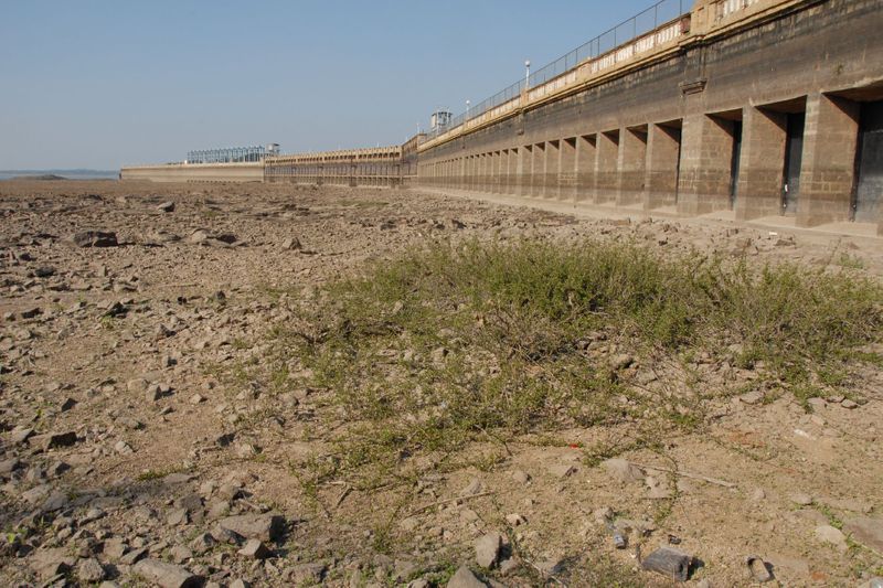 Karnataka: KRS dam water levels drop to 6 years low, raise alarms for farmers vkp