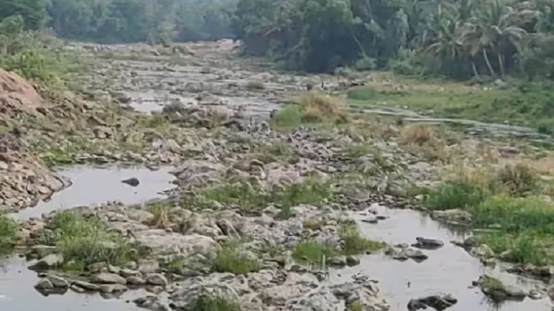 Empty Ribers ಅಂತರ್ಜಲ ಕುಸಿತ: ನೀರಿಲ್ಲದೇ Rivers ಒಡಲು ಖಾಲಿ ಖಾಲಿ!