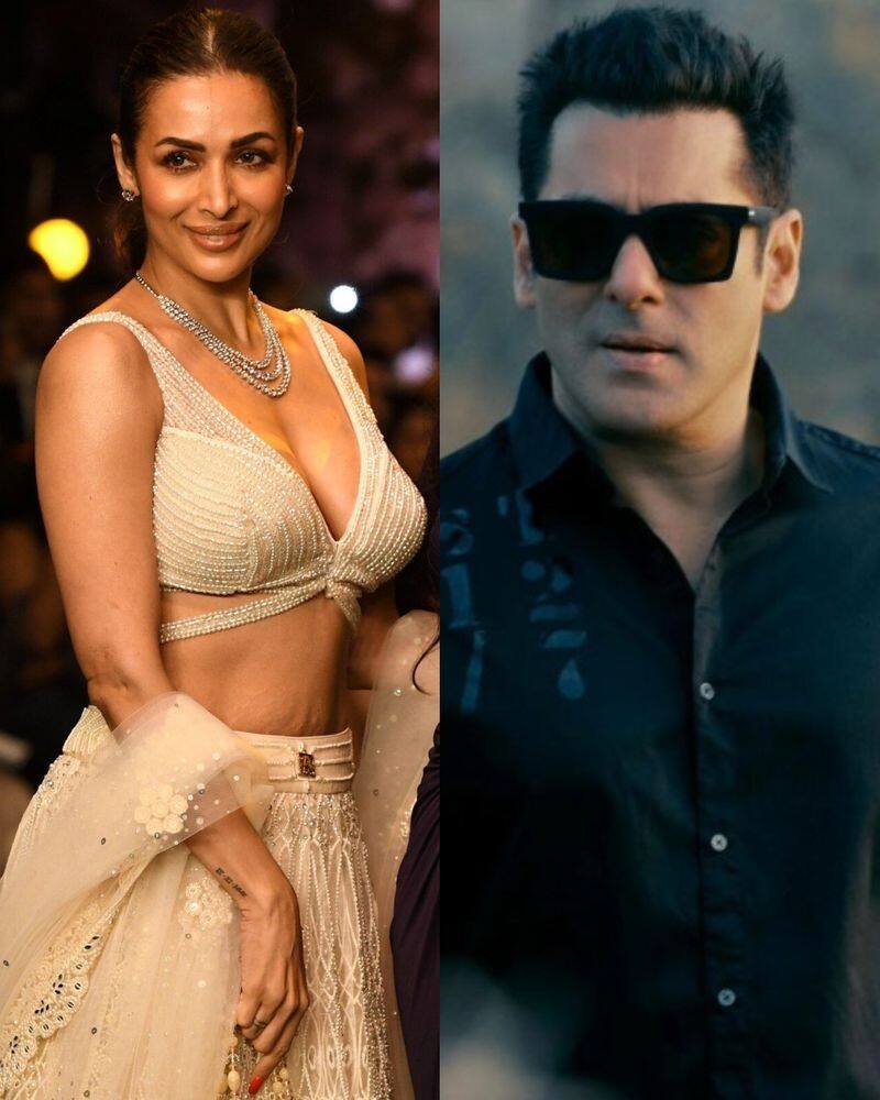 Throwback Monday: When Malaika Arora termed Salman Khan 'Ultimate Sex Symbol' RKK