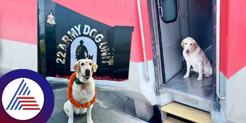 Indian Army Dog Meru Retired from Service travels AC first class train ckm