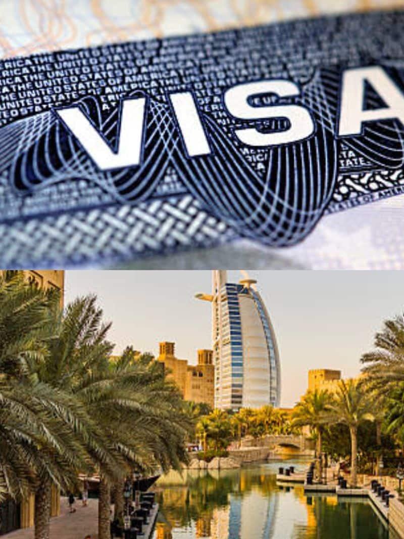 UAE Unveils 10-Year Blue Visa: Here's what you should know NTI