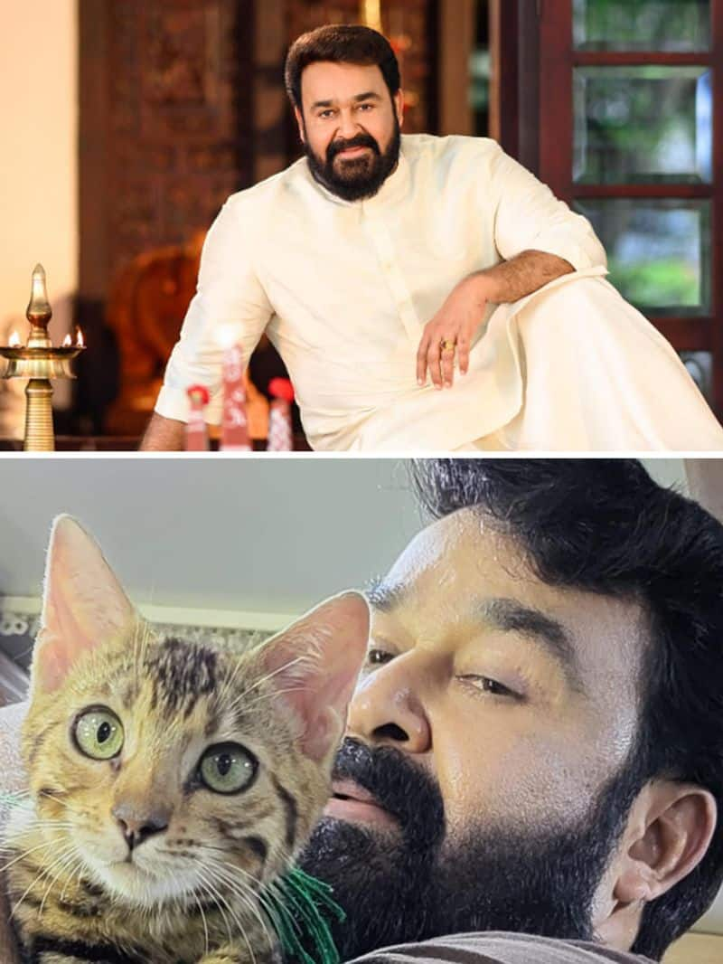 Mohanlal net worth: Malayalam superstar assets, income, and more RBA