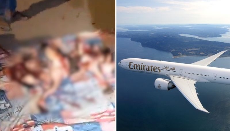 40 flamingos killed after Emirates flight hits flock near Mumbai airport; disturbing videos surface (WATCH) snt