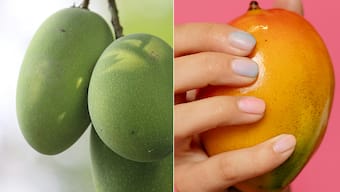 Mango: గర్భిణీలు మామిడి పండు తింటే ఏమౌతుంది?