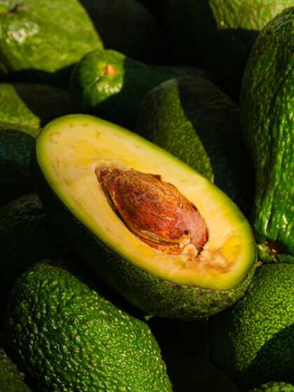 Avocados