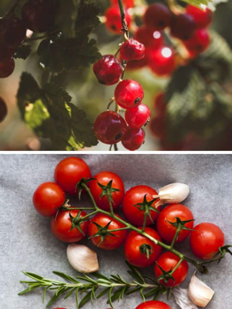 Berries to Tomatoes: 7 summer foods that are great for fertility ATG EAI