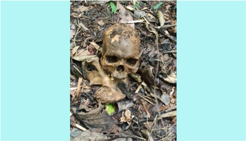 skull and skeleton found in wayanad forest