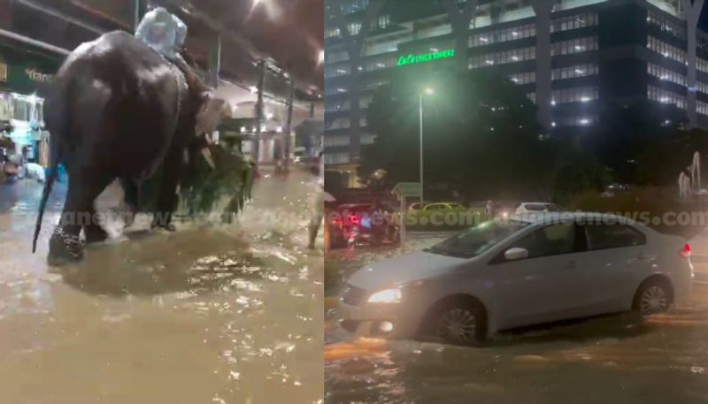 Kerala Rain: Kozhikode MCH experiences waterlogging; Kochi, Thrissur roads flooded after heavy downpour anr