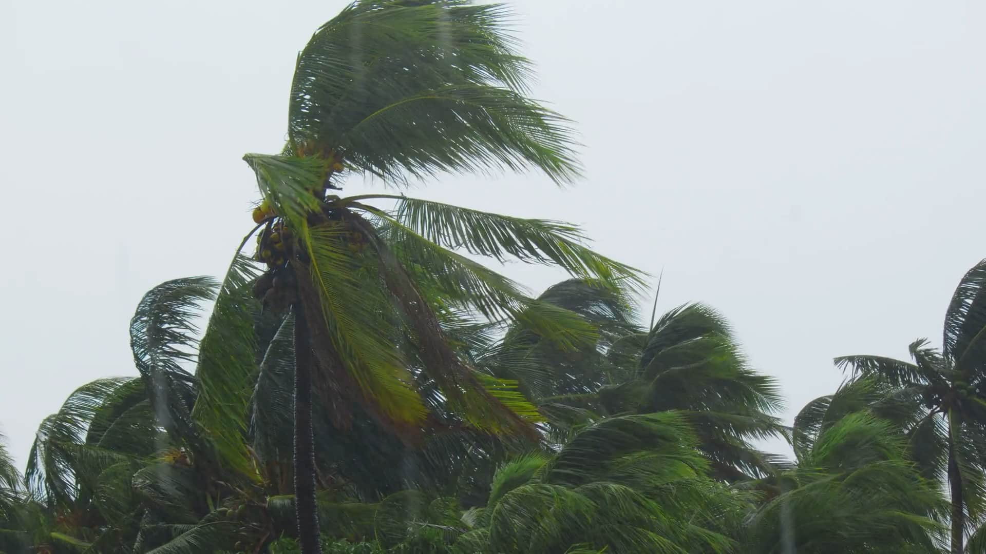 Remal Cyclonic Storm Landfall Update: Storm Likely To Hit Bay Of Bengal Tomorrow Rya