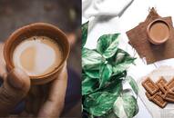 6 reasons why your chai does not taste great iwh