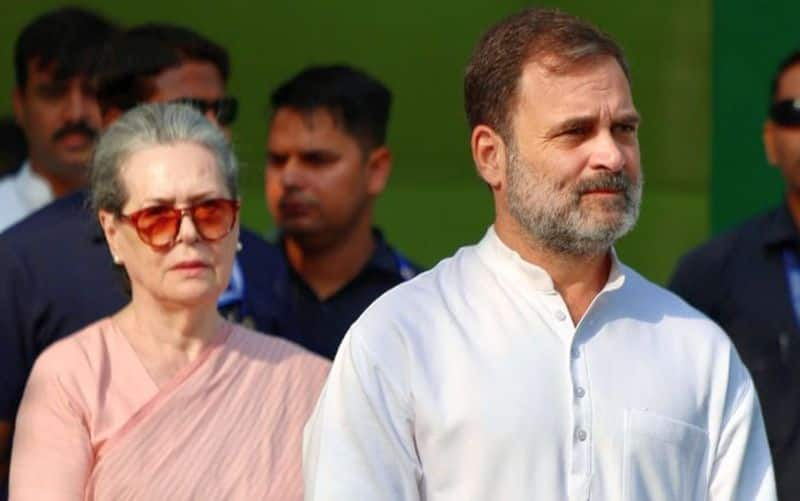 Rae Bareli Lok Sabha Election Results 2024: Rahul Gandhi surpasses mother Sonia's 2019 winning margin