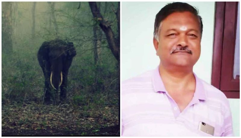 bharathiar university campus elephant attack security guard dies