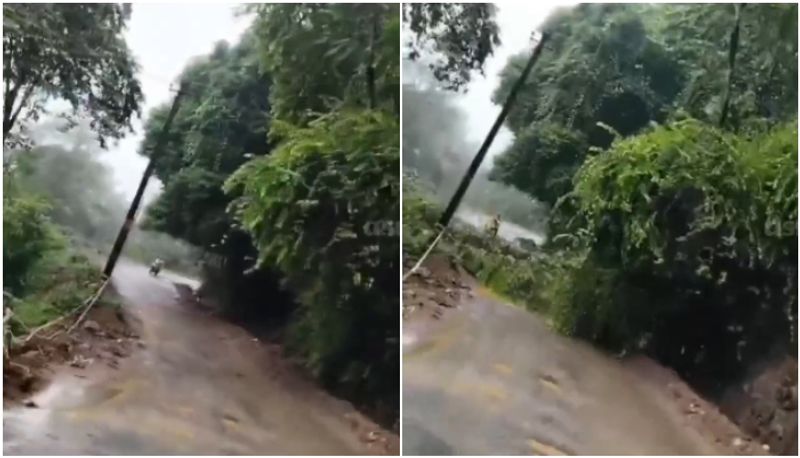 kerala rains tree falls on road narrow escape for panchayat member viral video