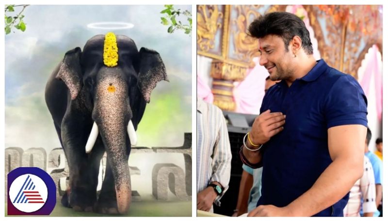 Karnataka Forest department returned actor Darshan donation for Elephant Arjuna burial srb