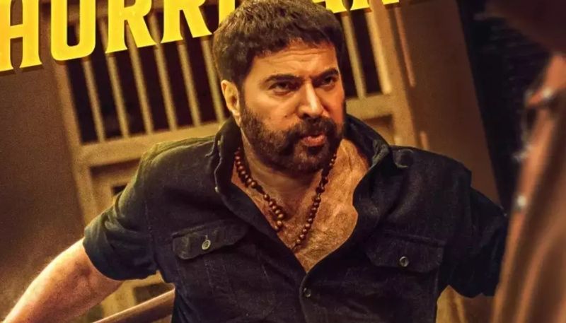 actor mammootty movie turbo Final Global Box Office, vysakh, midhun manuel thomas, ott release 