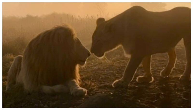 Lion kiss video goes viral on social media