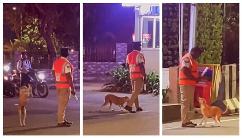 Video of dog befriending traffic police while on duty goes viral 