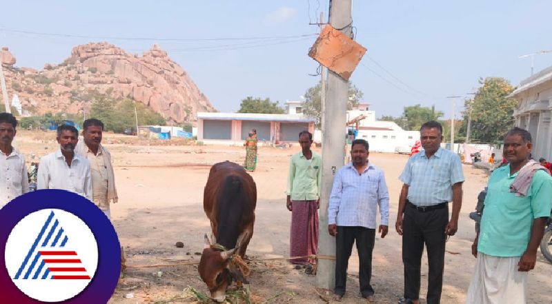 Neermanvi yallamma emple cows sold to slaughter houses devotees outraged against priest priest rav