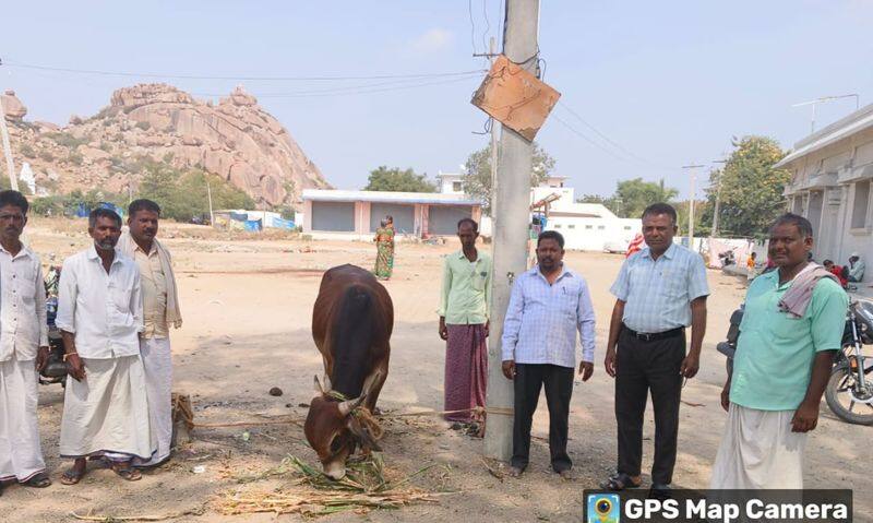 Neermanvi yallamma emple cows sold to slaughter houses devotees outraged against priest priest rav