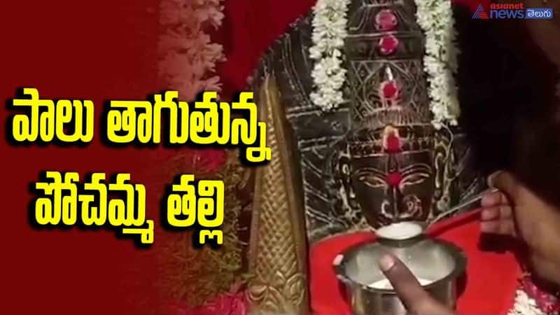 Strange incident in Miyapur Goddess Pochamma drinking milk JMS