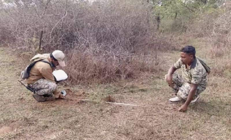 Elephant Census by Elephant dung Verification within 2 km of each beat gvd