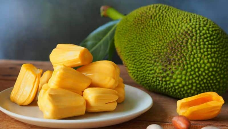 jackfruit season many variety available in chikkamagaluru gvd