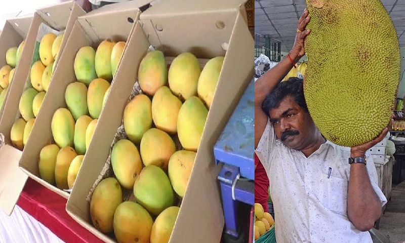 Mango and Jackfruit Fair by Madikeri HopComs gvd