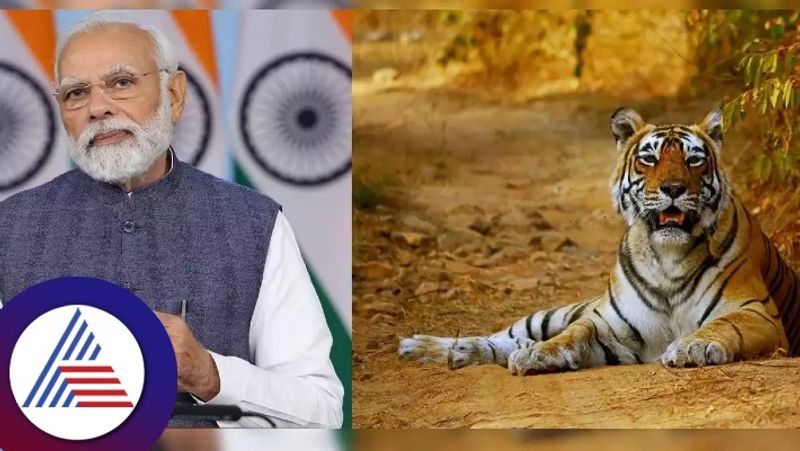 Ehswar khandre reacts about PM Modi visits mysore for tiger project 50 program 3.3cr Bill due yet rav