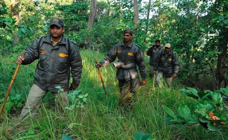 A young man who dreamed of a government job died suddenly during a physical examination of forest Guard post in MP akb