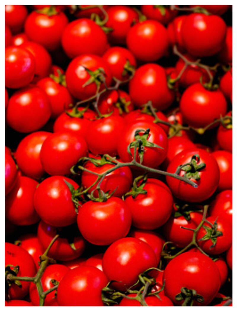 tomato