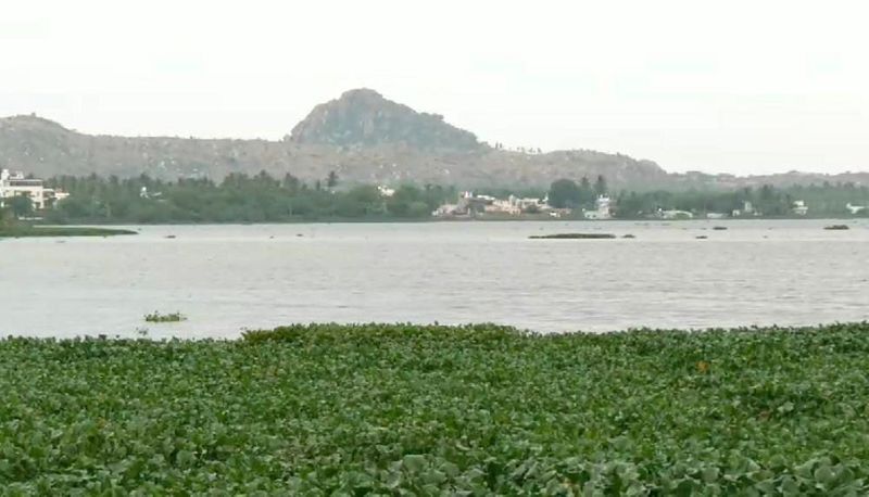 Chitradurga Lake polluted by waste materials Mallapura Villagers are outraged gvd