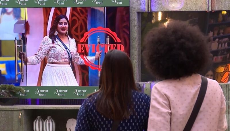 why ansiba hassan is being evicted from bigg boss malayalam season 6 here are the reasons review