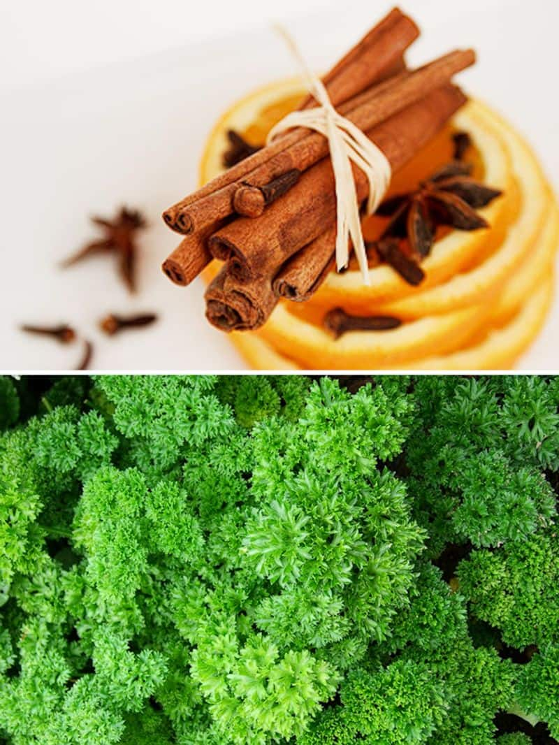 Cinnamon to Parsley: 7 herbs and spices that are good for eyesight ATG EAI