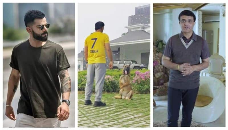 Expensive Homes Owned By Indian Cricketers MS Dhoni  Ranchi Farmhouse To Virat Kohli  Bungalow gow