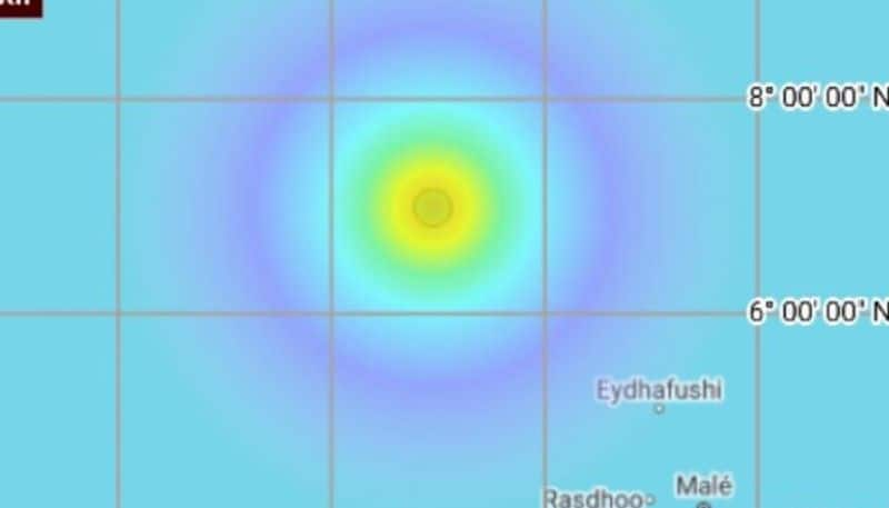 moderate earthquake in arabian sea