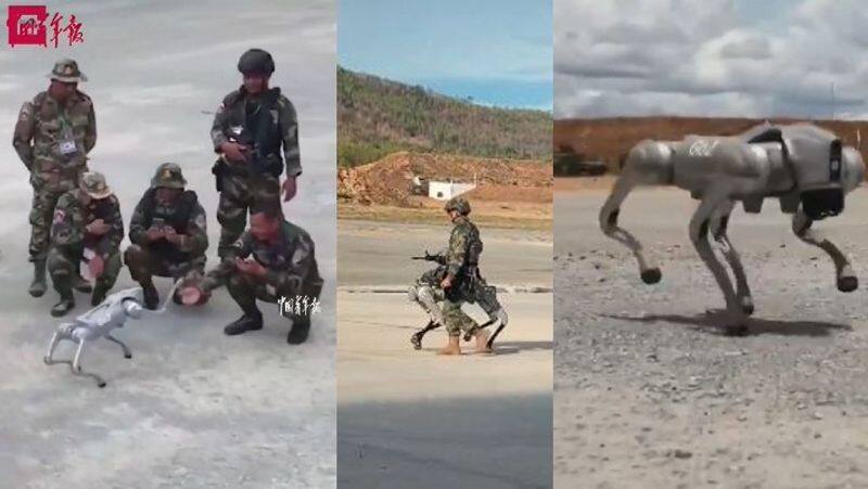 China has created a robot dog that shoots bullets in battlefield akb