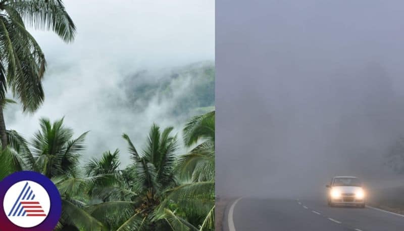 Craving for a monsoon ride from Bengaluru? 'Scotland of India', Kodagu is calling you: see 8 captivating PICS vkp