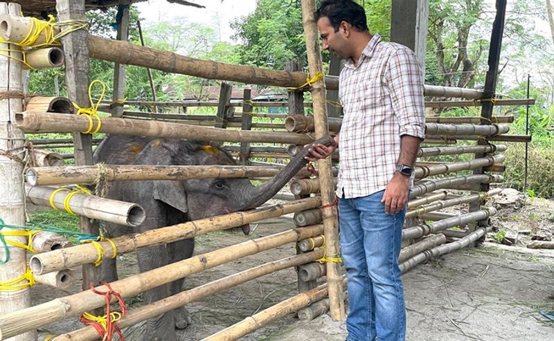 IFS officers share rescued baby elephant after mother elephant death People react for caring ckm