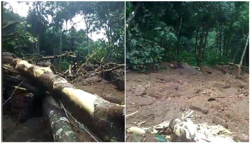 Kerala: 7 houses destroyed in landslide after heavy downpours in Kottayam anr