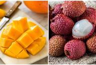 Mango to Litchi: 5 Refreshing Indian summer fruits and their health benefits RTM EAI