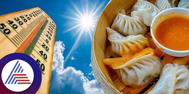 Why Should You Not Eat Momos In Hot Sweltering Summer roo